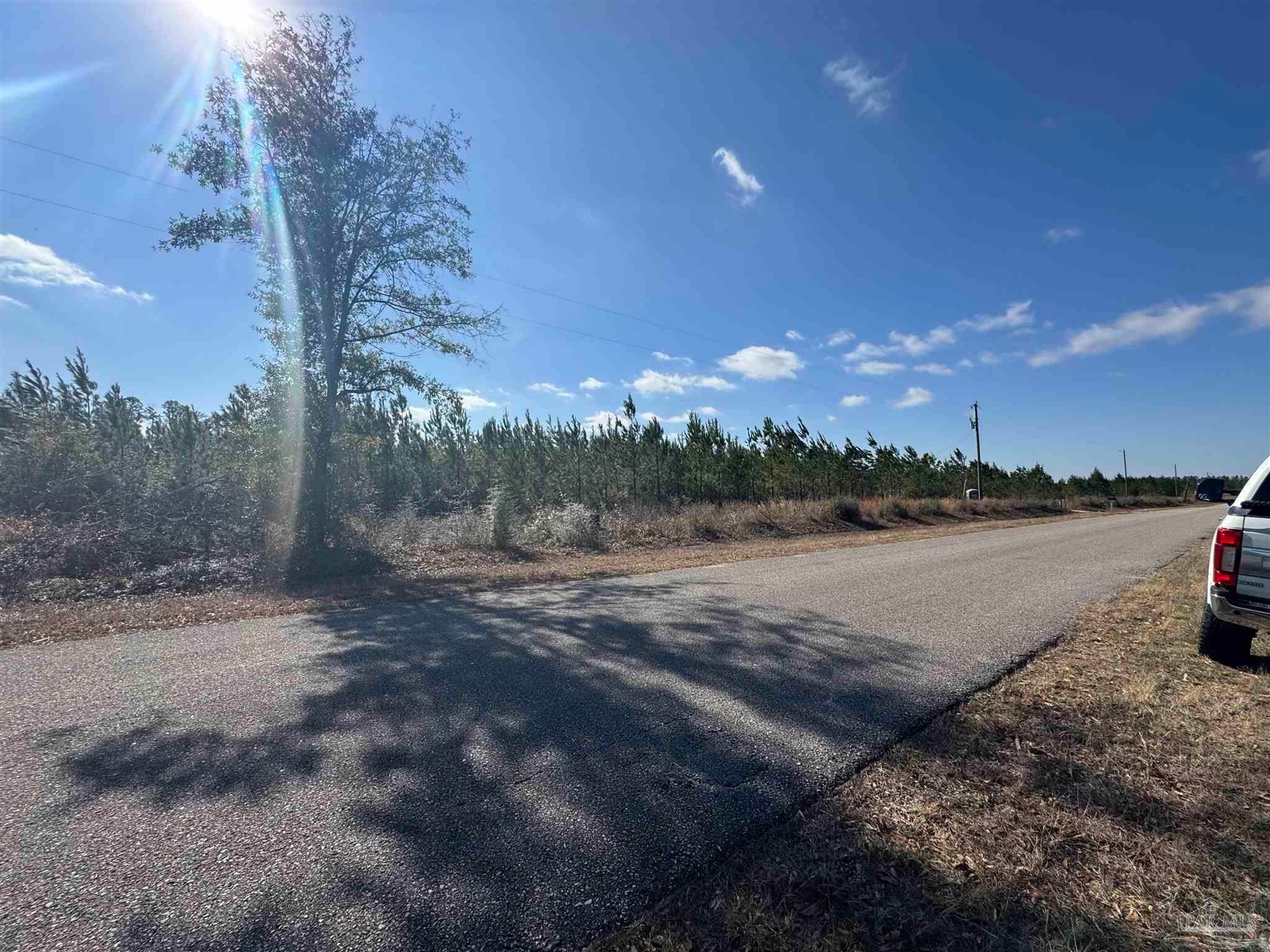 Photo of Listing #667143