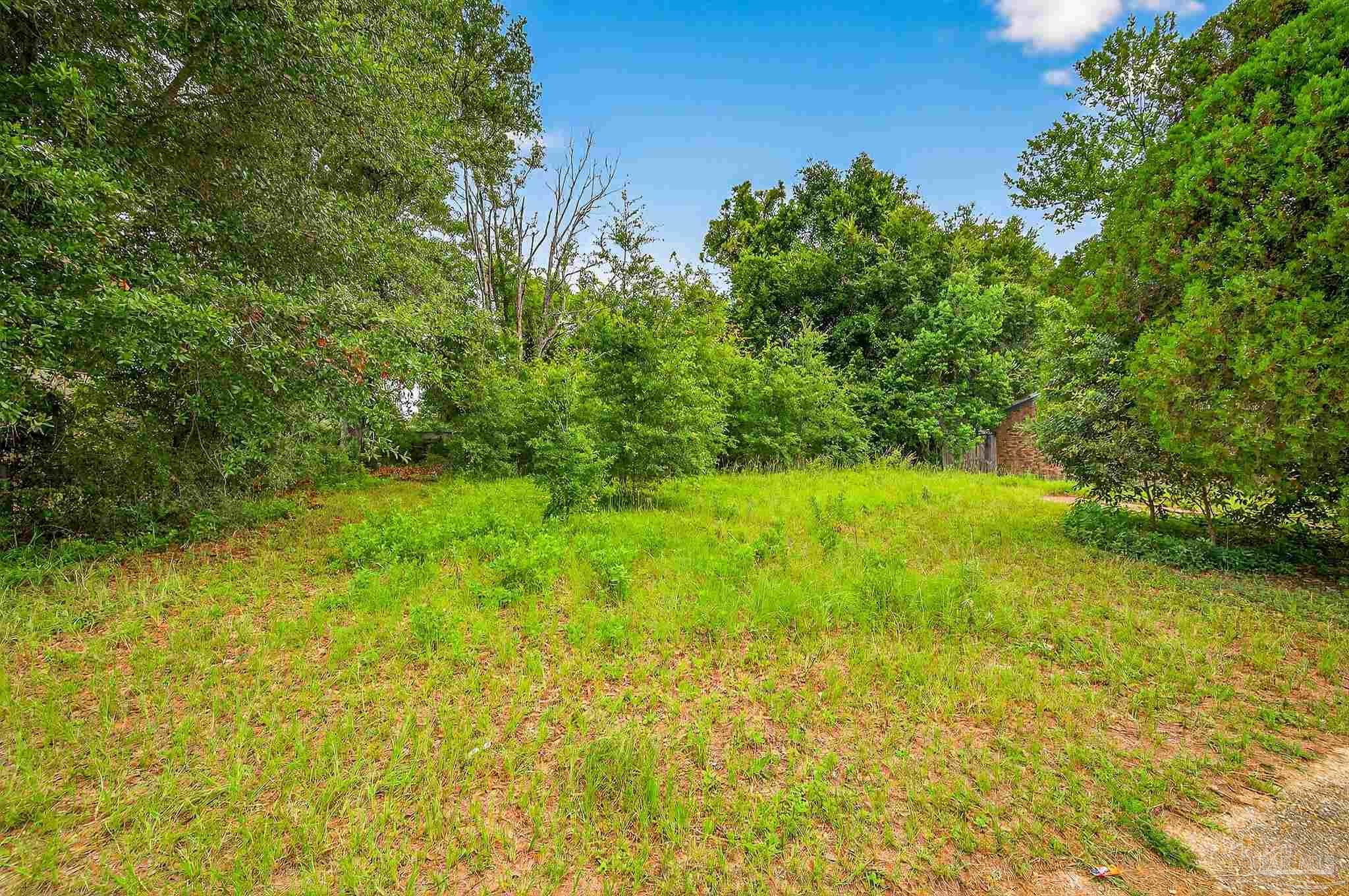 Photo of Listing #667240