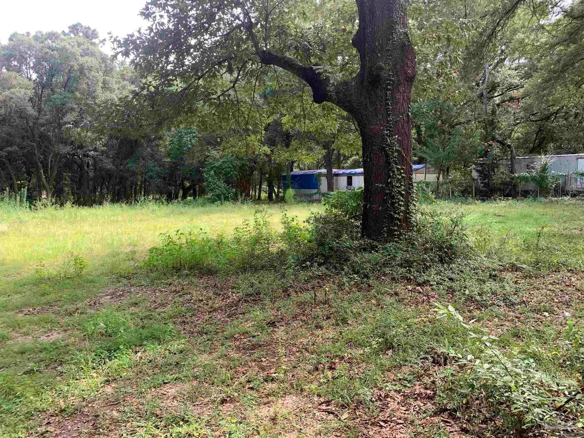 Photo of Listing #667761