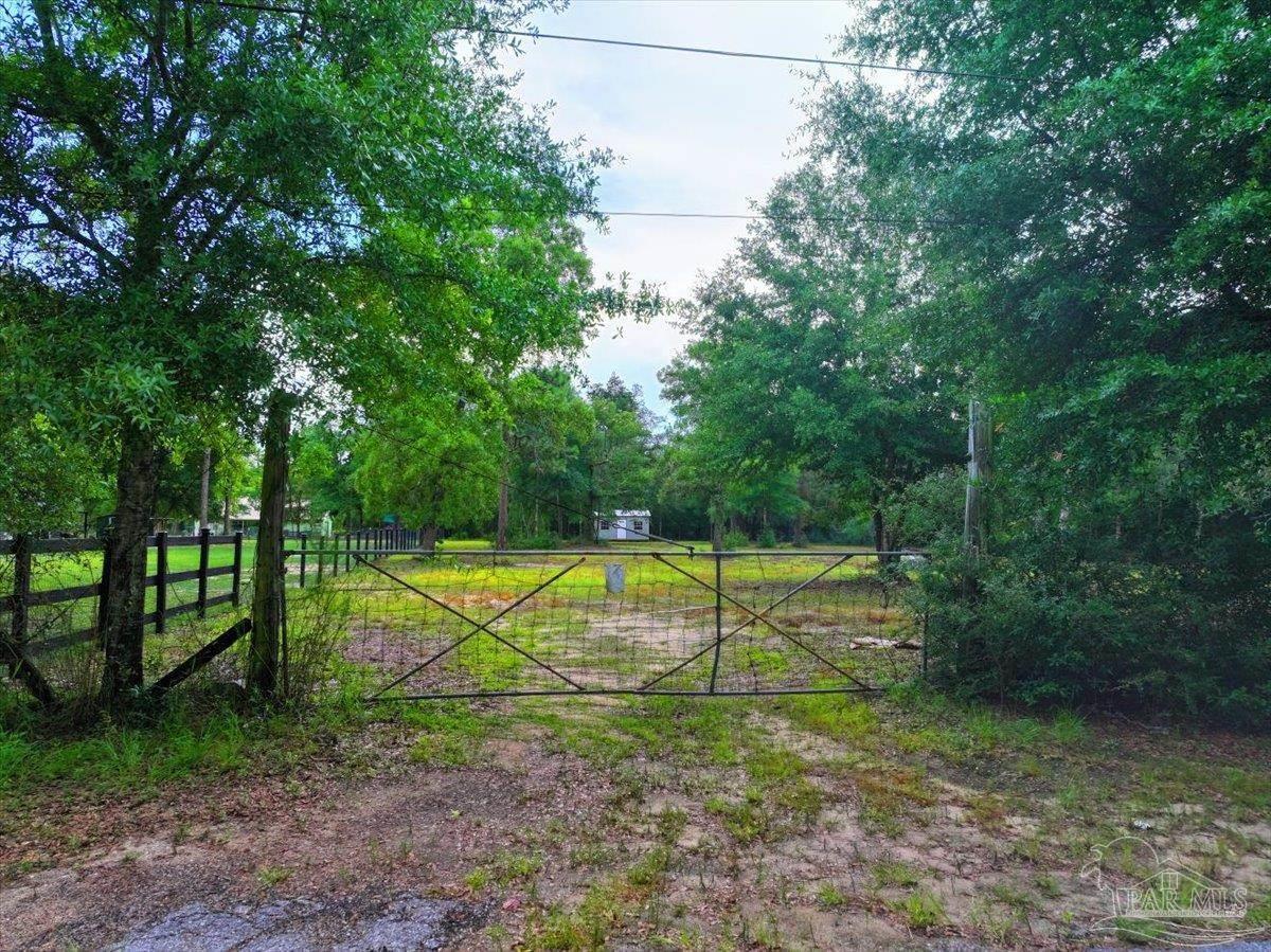 Photo of Listing #668086