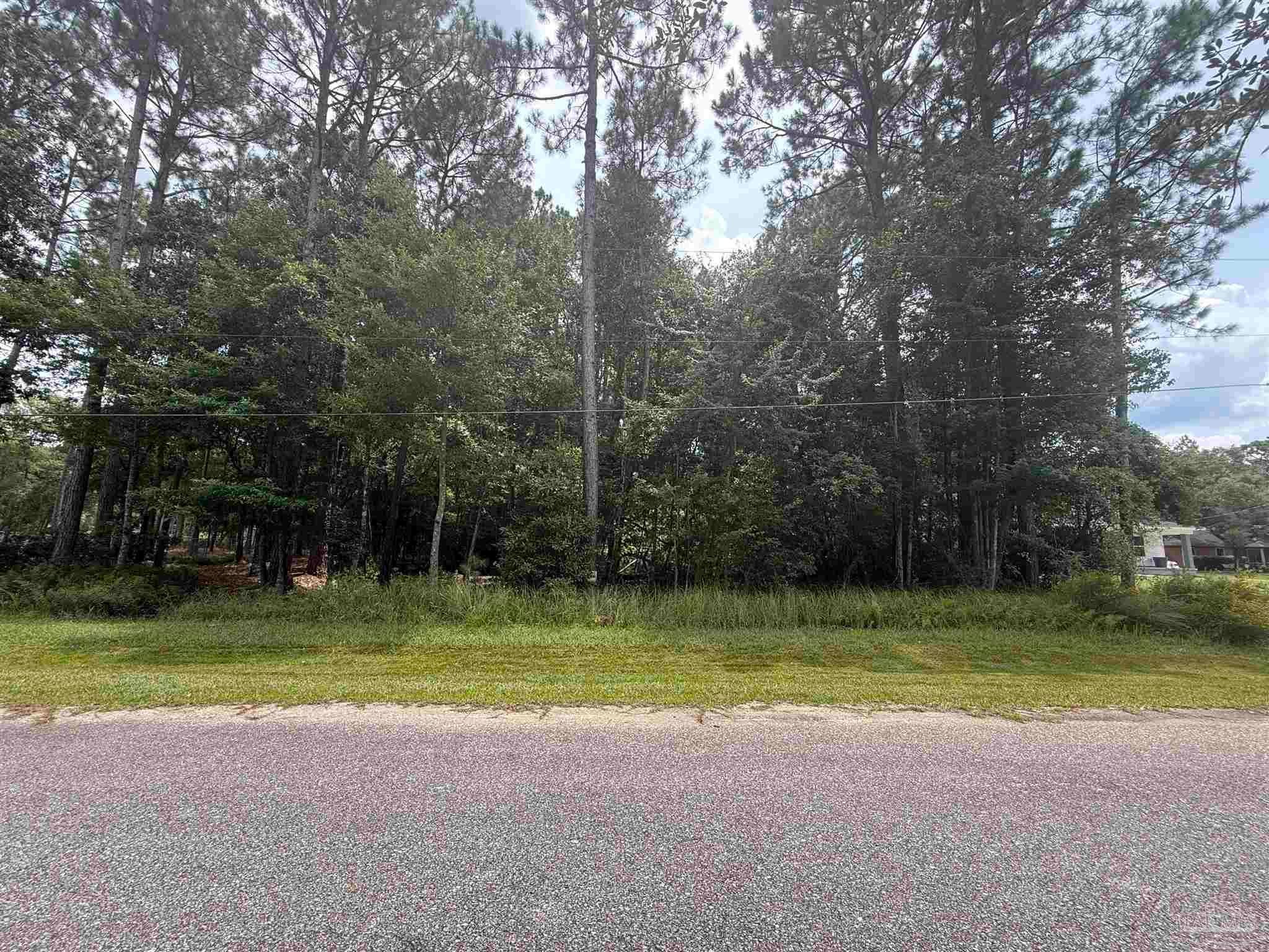 Photo of Listing #668176