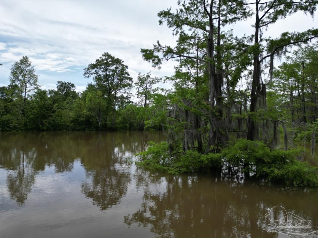 Photo of Listing #668224