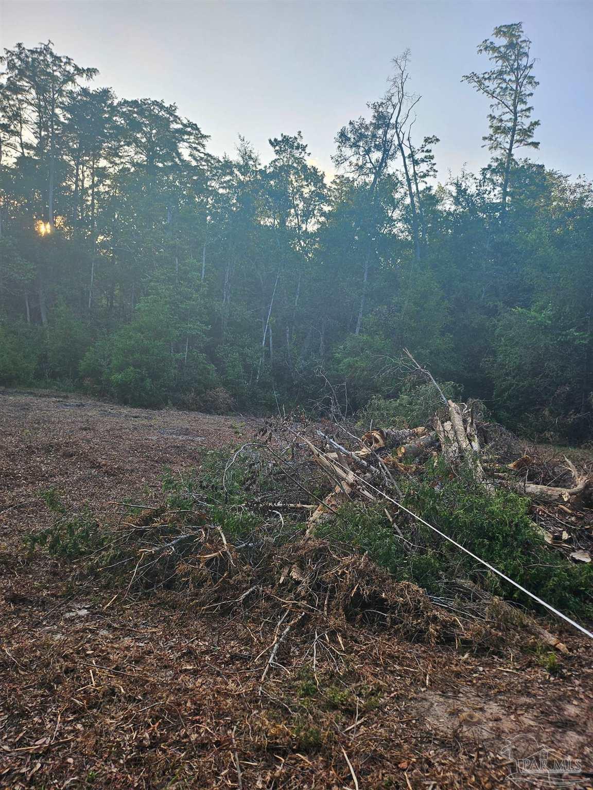 Photo of Listing #668860