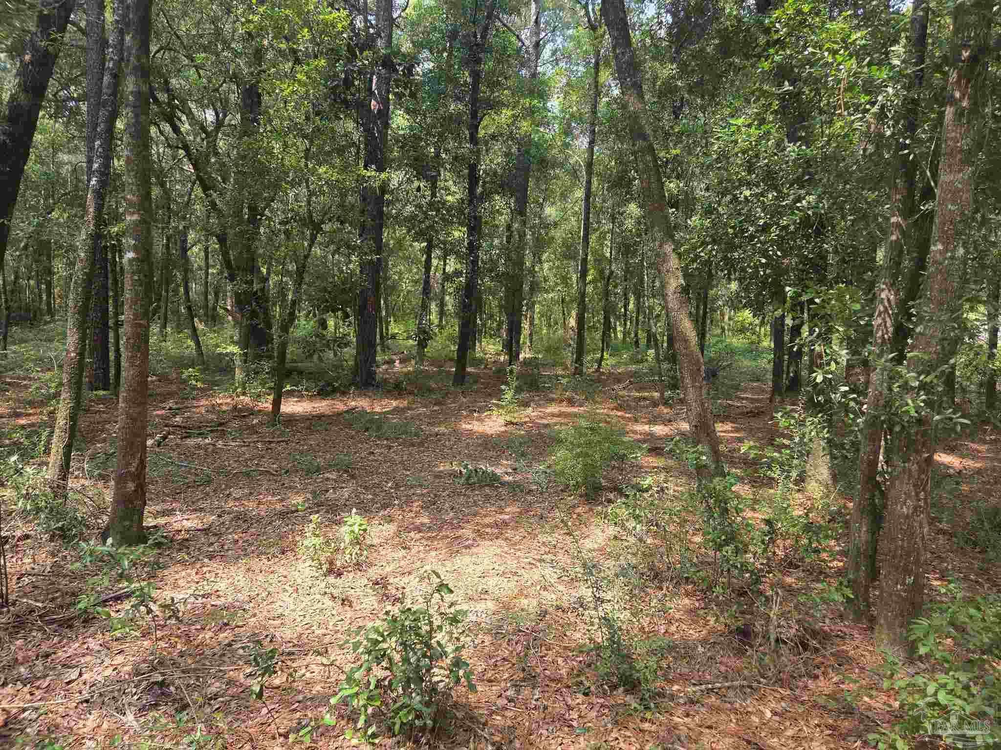 Photo of Listing #669178