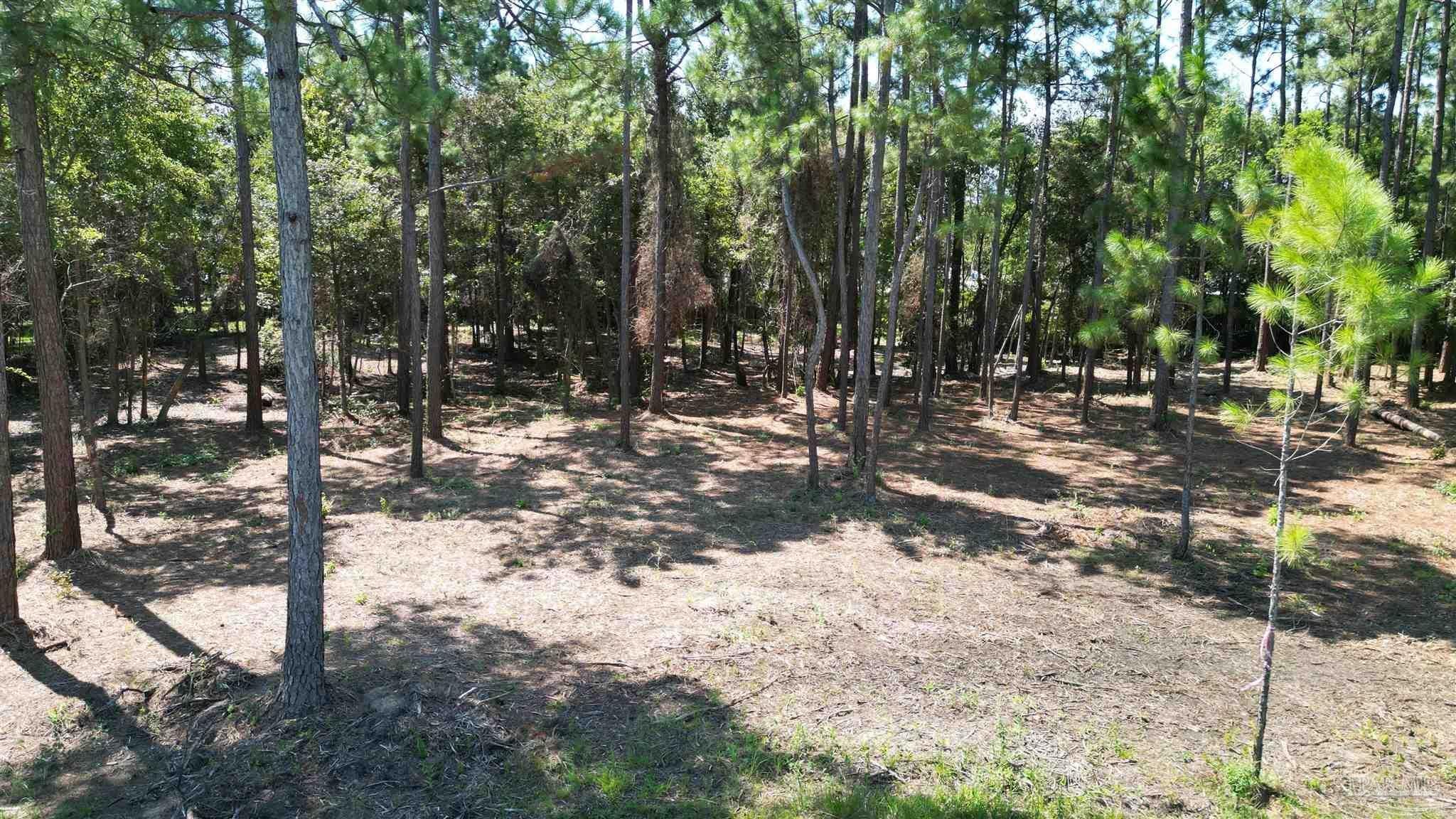 Photo of Listing #670436