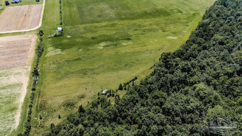 Photo of Listing #671209