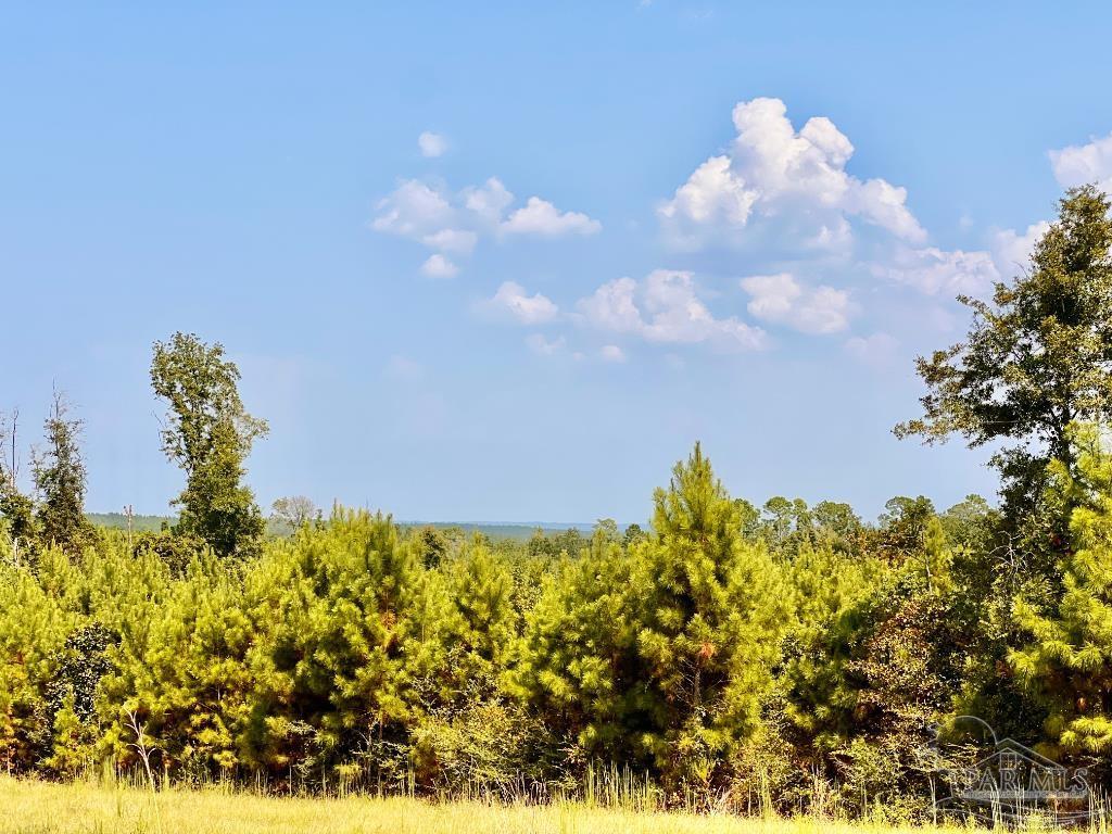 Photo of Listing #671761