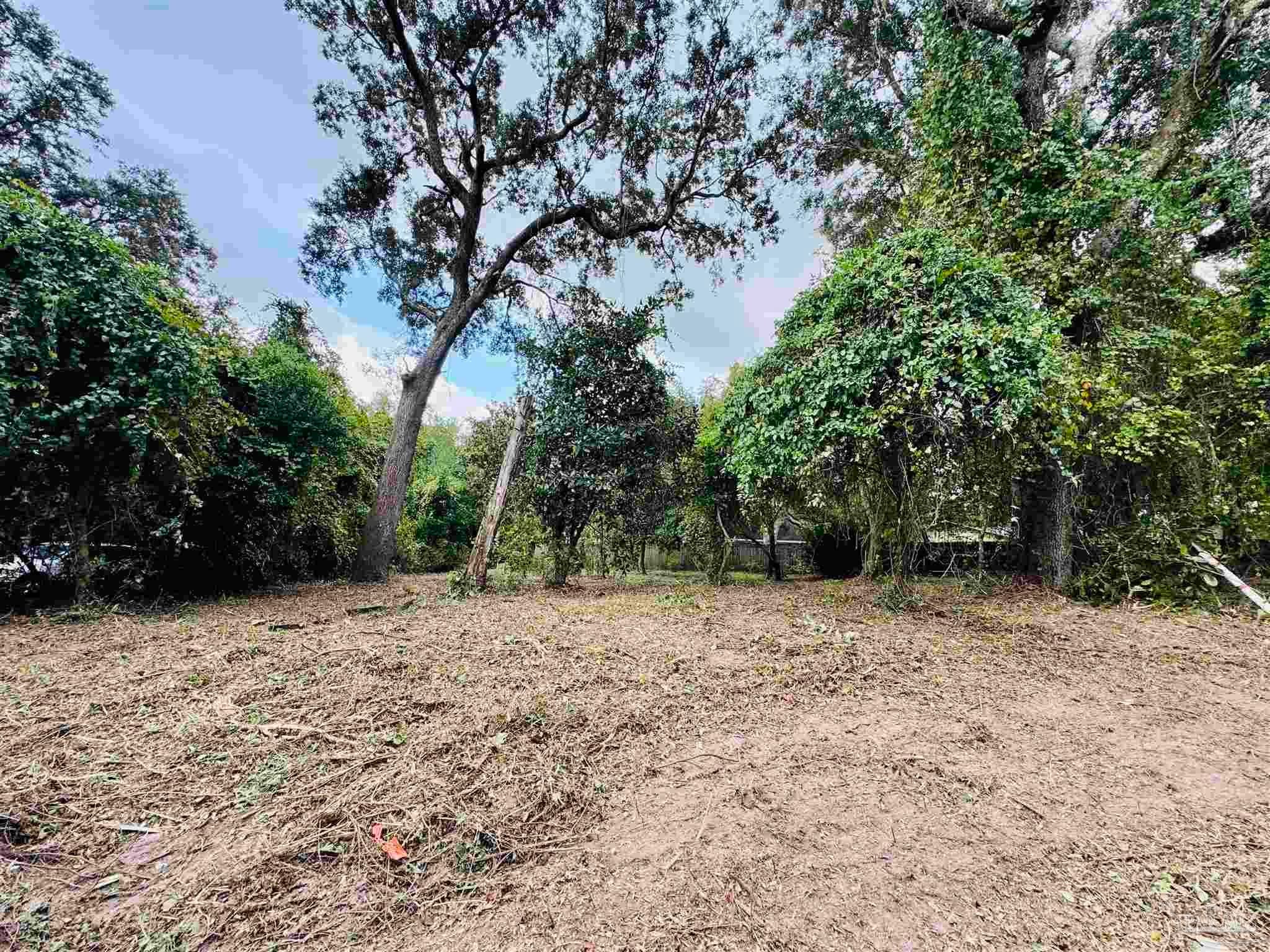 Photo of Listing #672561