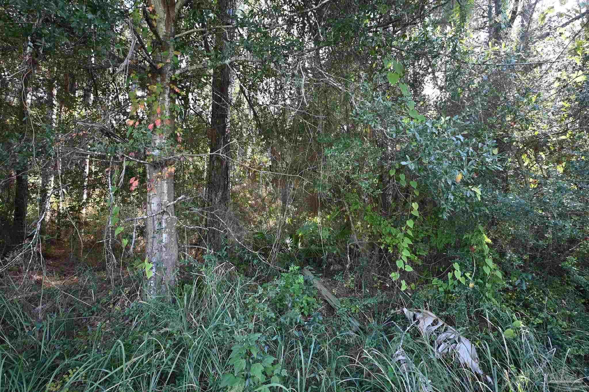 Photo of Listing #672605