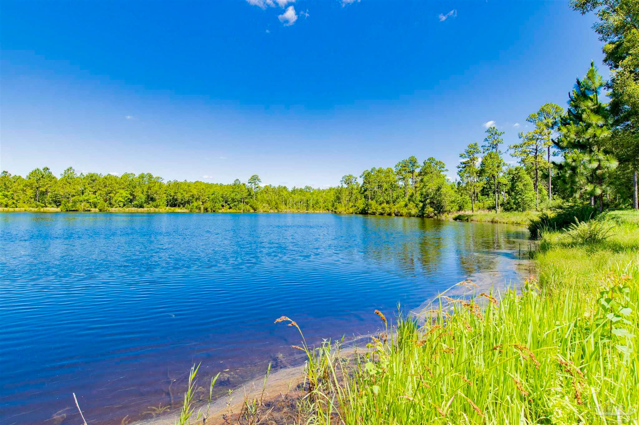 Photo of Listing #673038