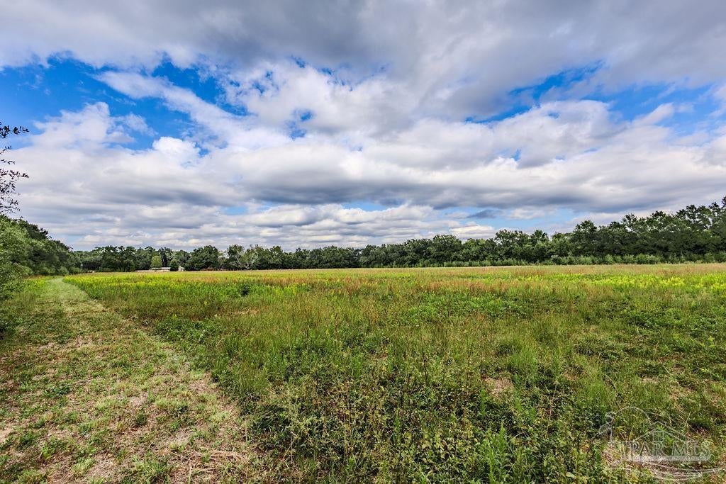 Photo of Listing #673424