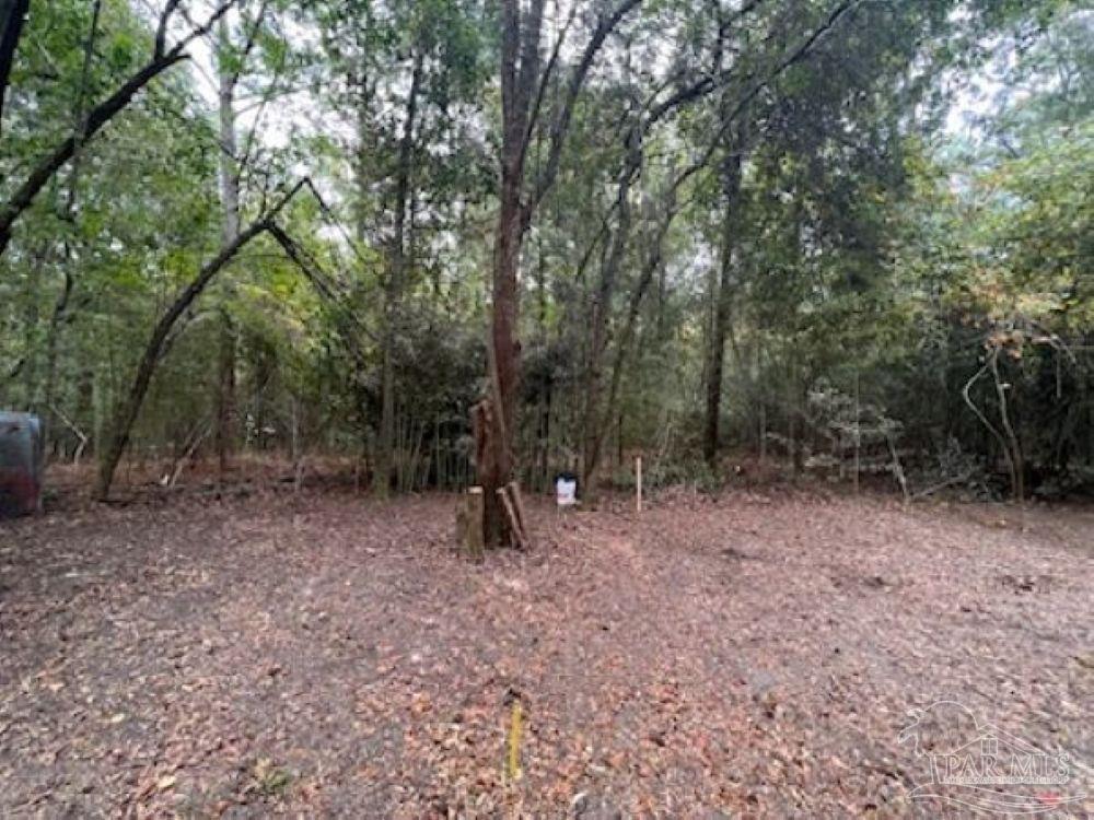 Photo of Listing #674177