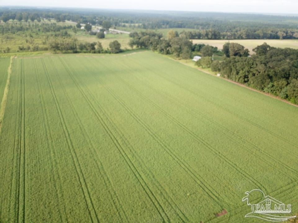 Photo of Listing #674507