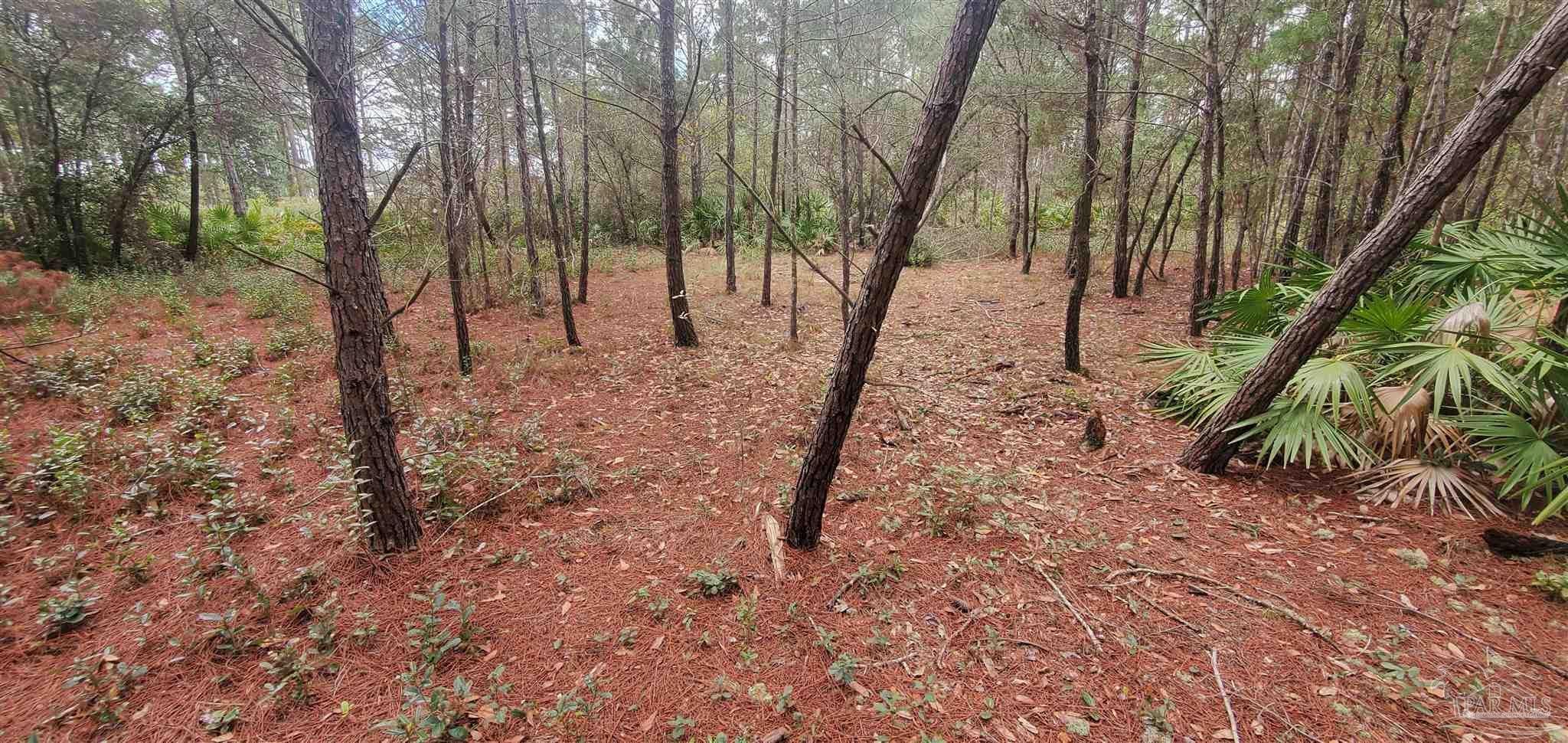 Photo of Listing #674808