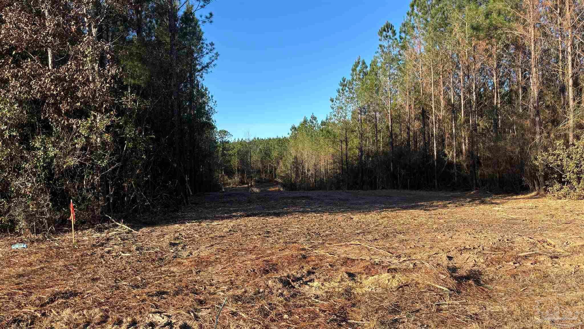 Photo of Listing #675089