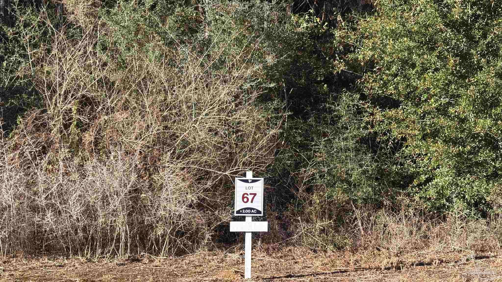 Photo of Listing #675099