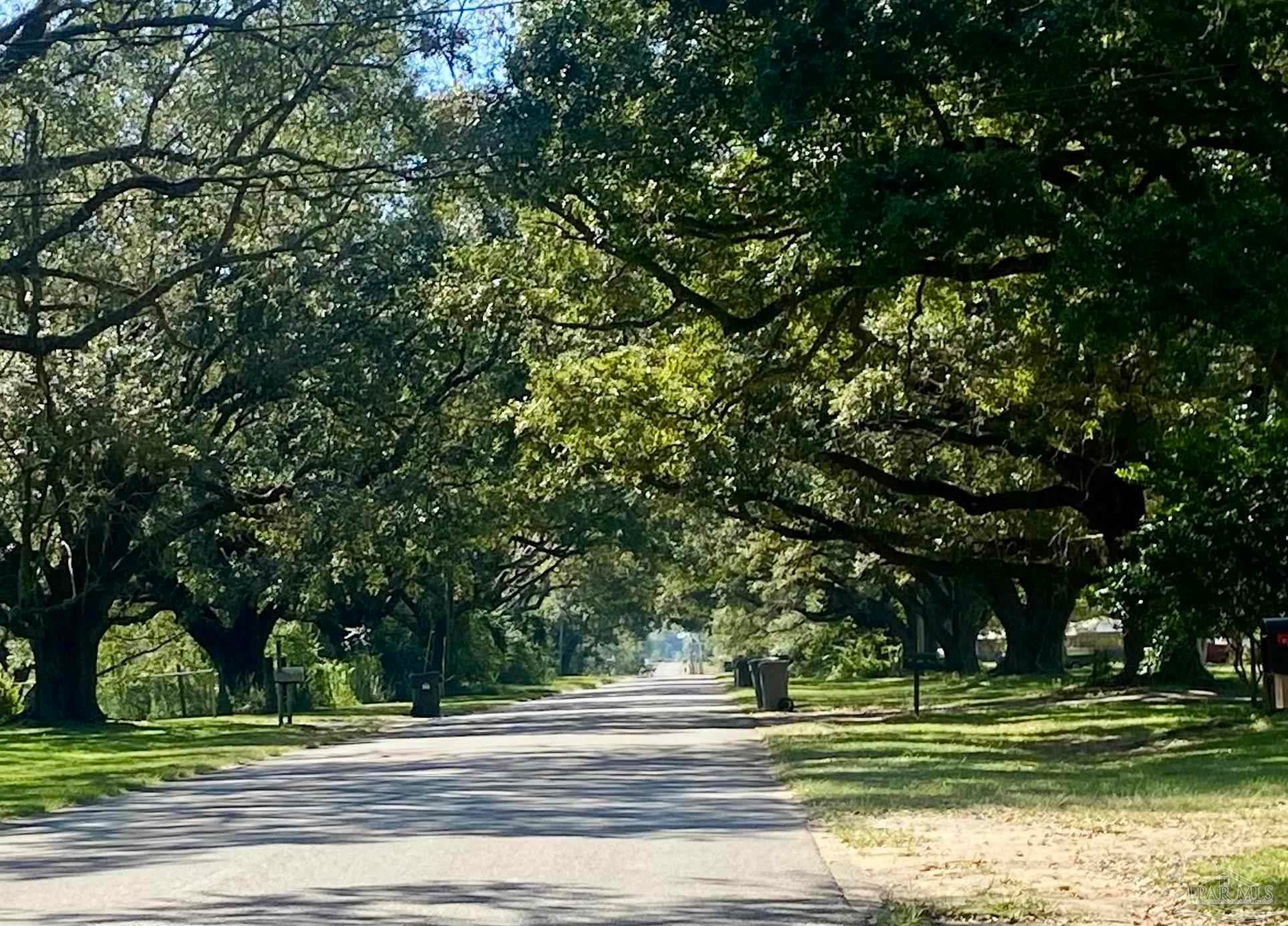 Photo of Listing #671014