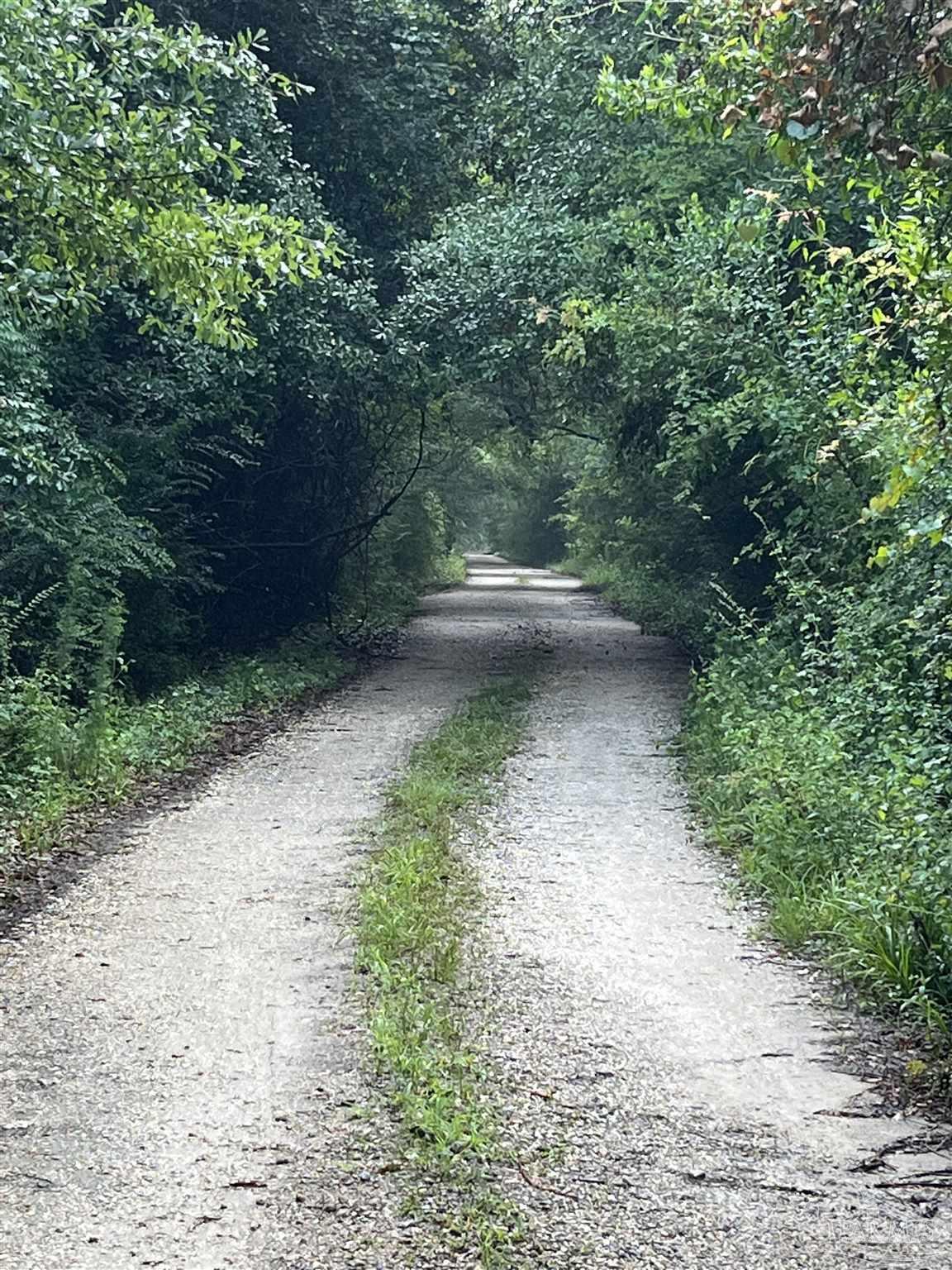 Photo of Listing #672230