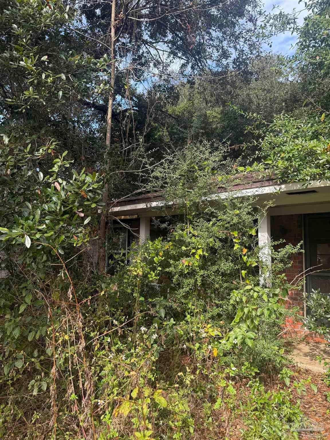 Photo of Listing #674271