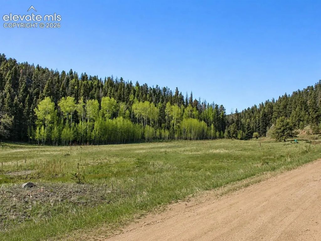Lot 1 County Road 358, Westcliffe