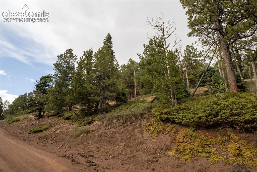Lot 2797 Moir Drive, Fort Garland