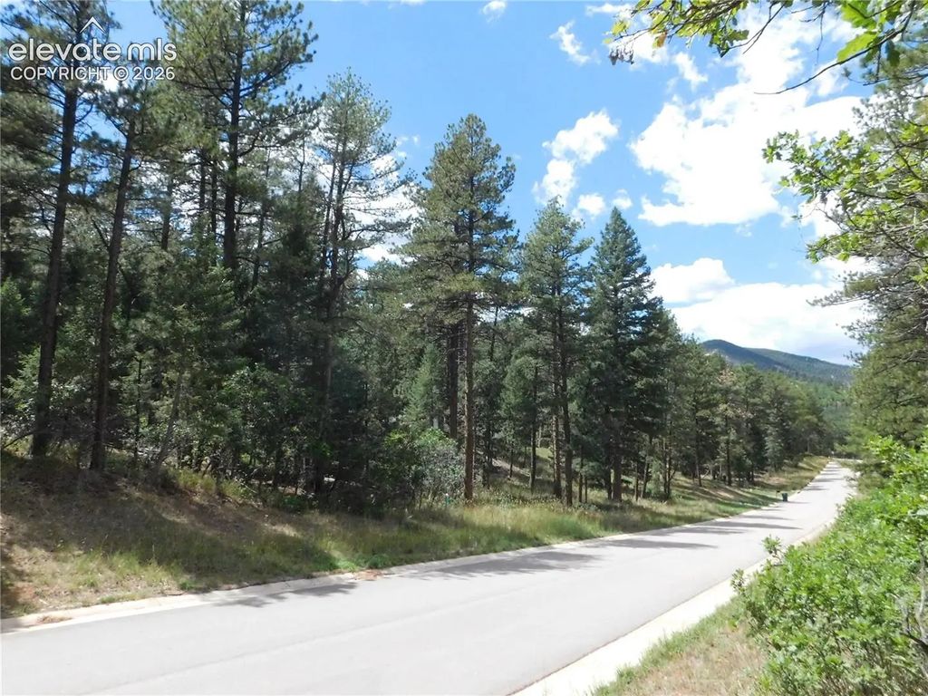 8139 Bannock Drive, Larkspur