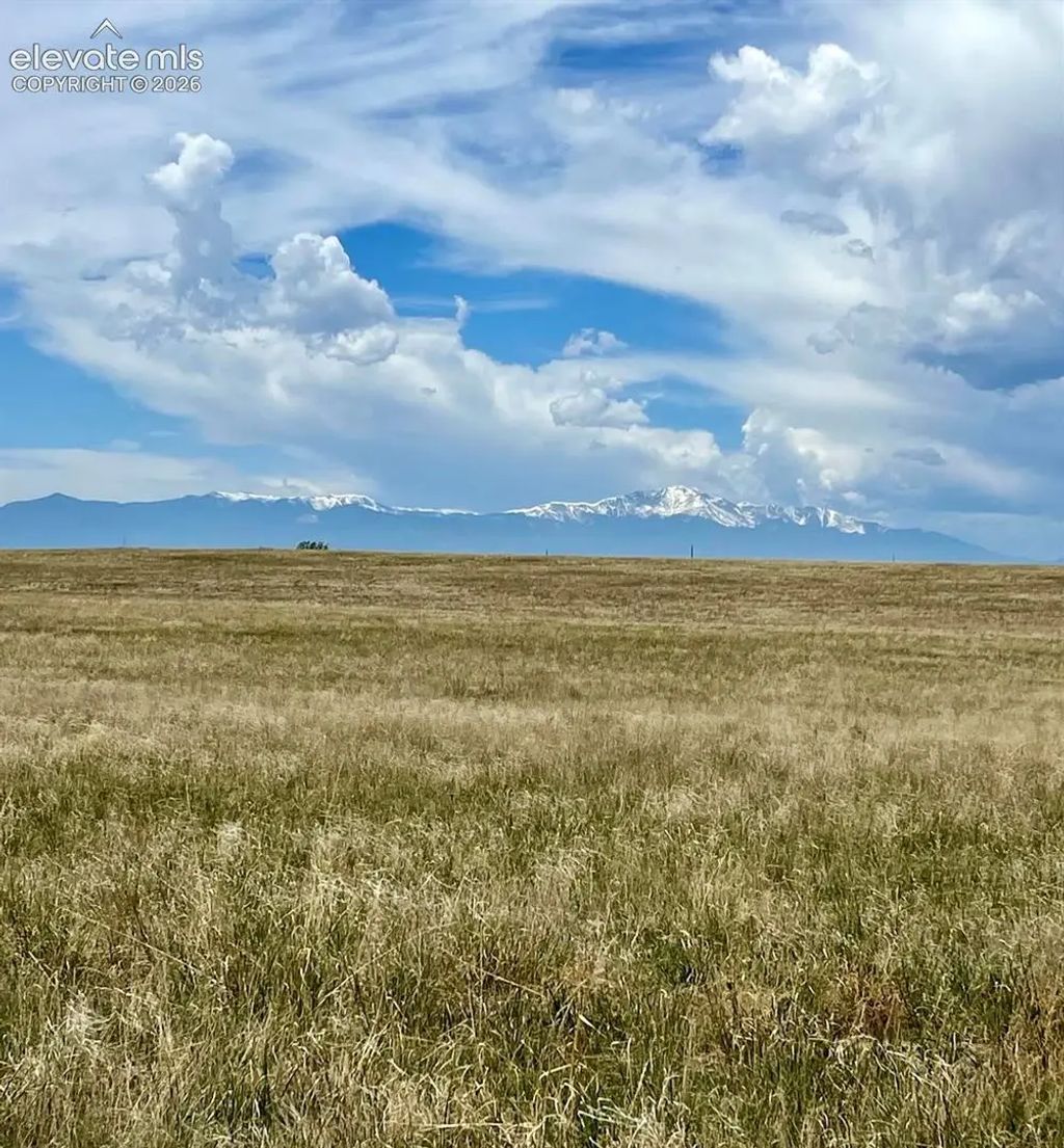 6710 Cowboy Ranch View, Peyton