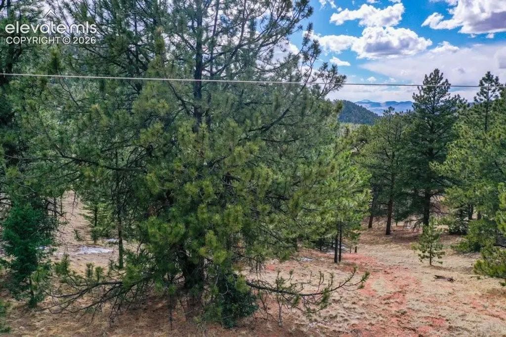 395 Wabash Terrace, Cripple Creek