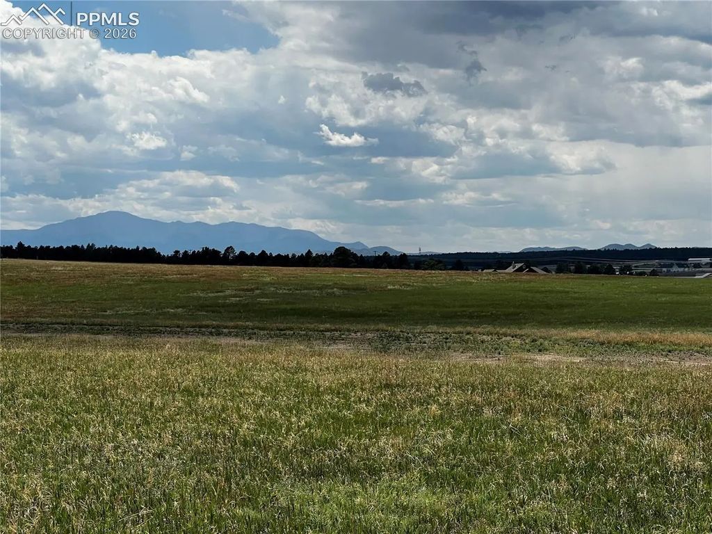 16990 Early Light Drive, Colorado Springs