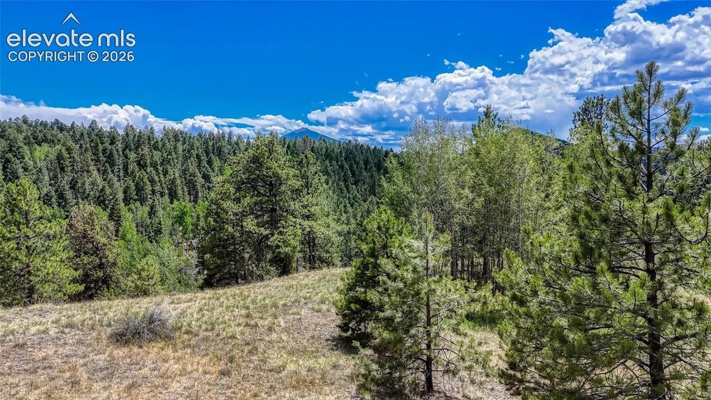 218 Princess Road, Cripple Creek