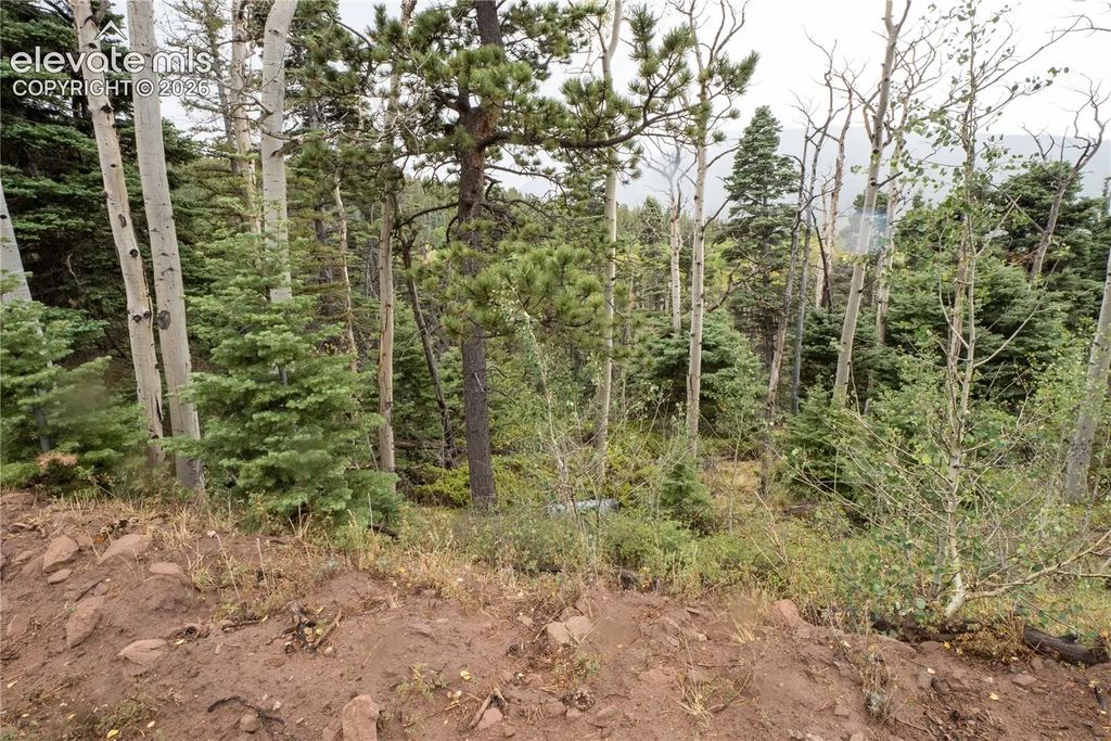 Lot 2825 Moir Drive, Fort Garland