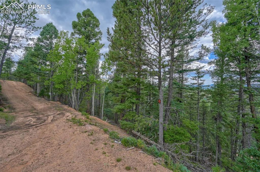 251 Osoeola Road, Woodland Park