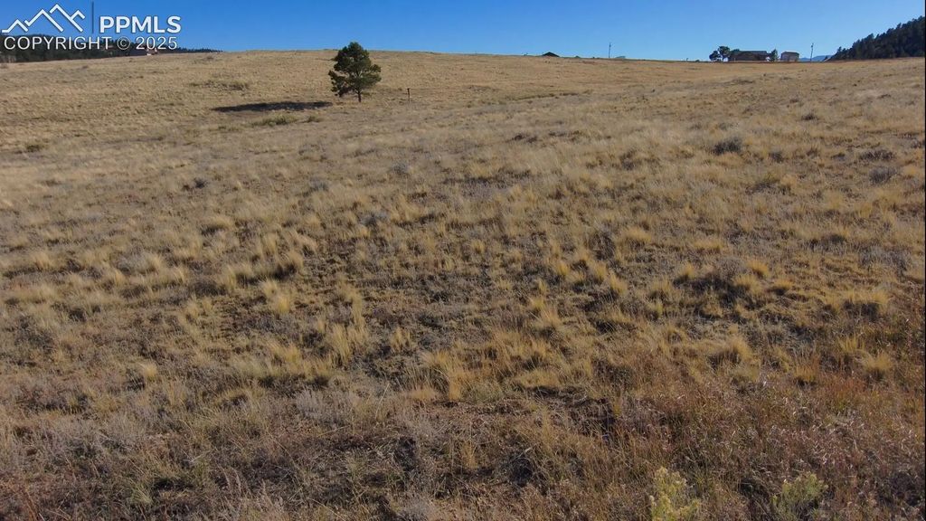 152 Wulstein Way, Westcliffe