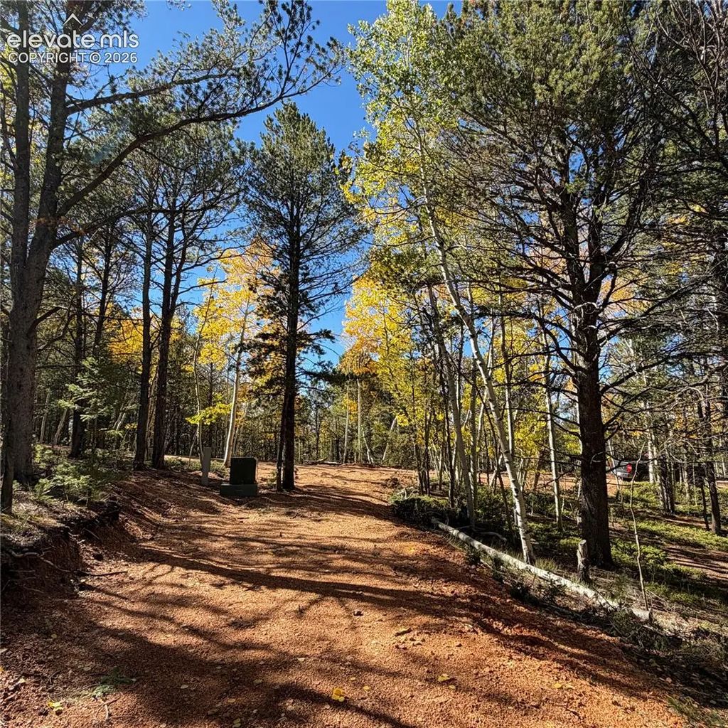 800 Timber Ridge Road, Divide