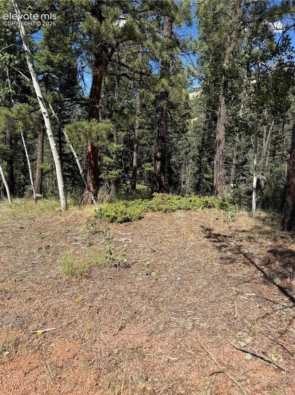 1007 Derby Drive, Cripple Creek