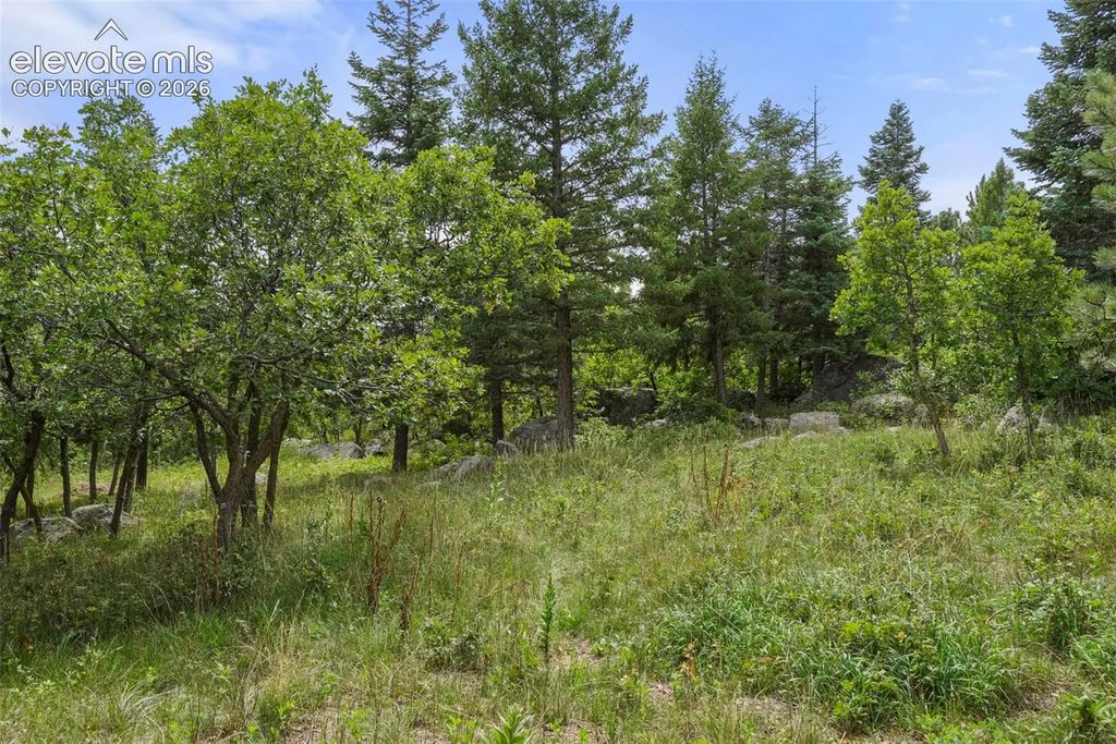 5085 Broadlake View, Colorado Springs