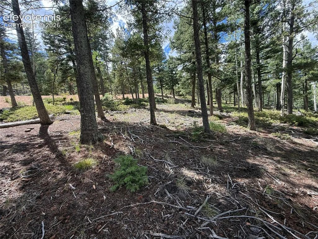 167 Big Bear Road, Manitou Springs