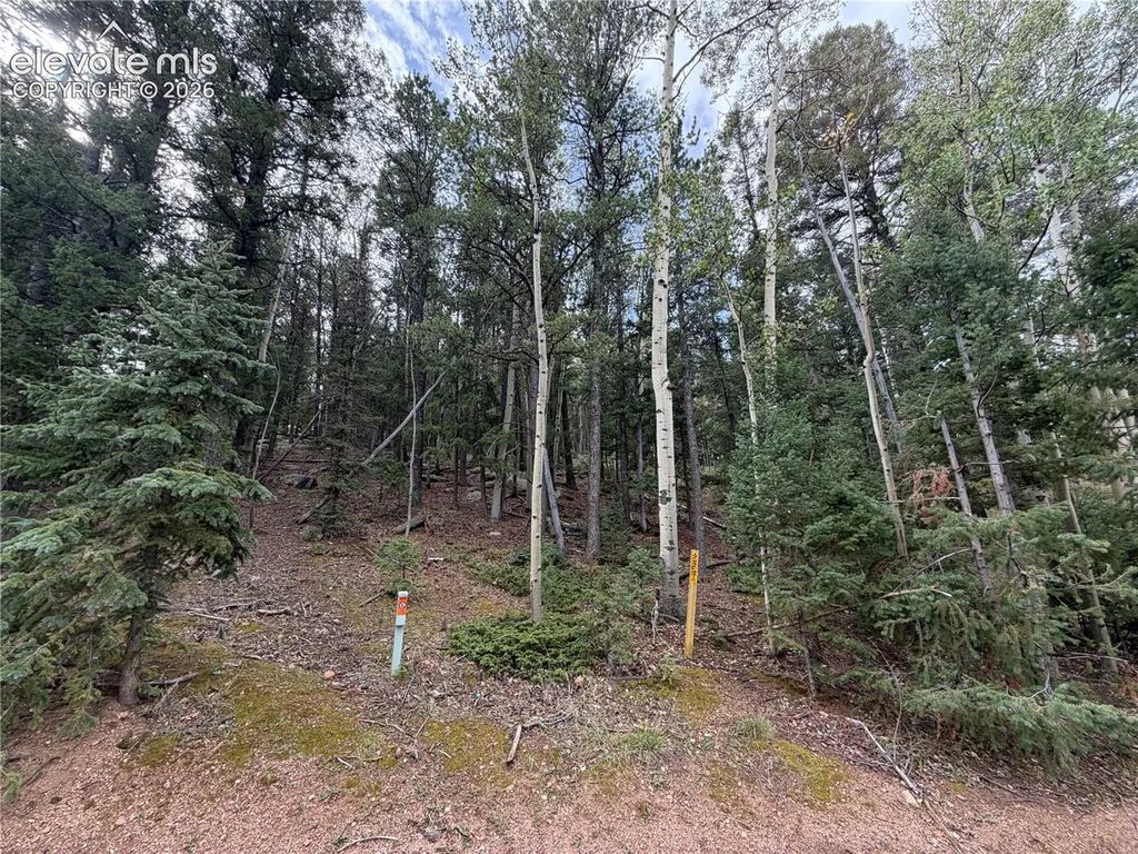 118 Will Stutley Drive, Divide