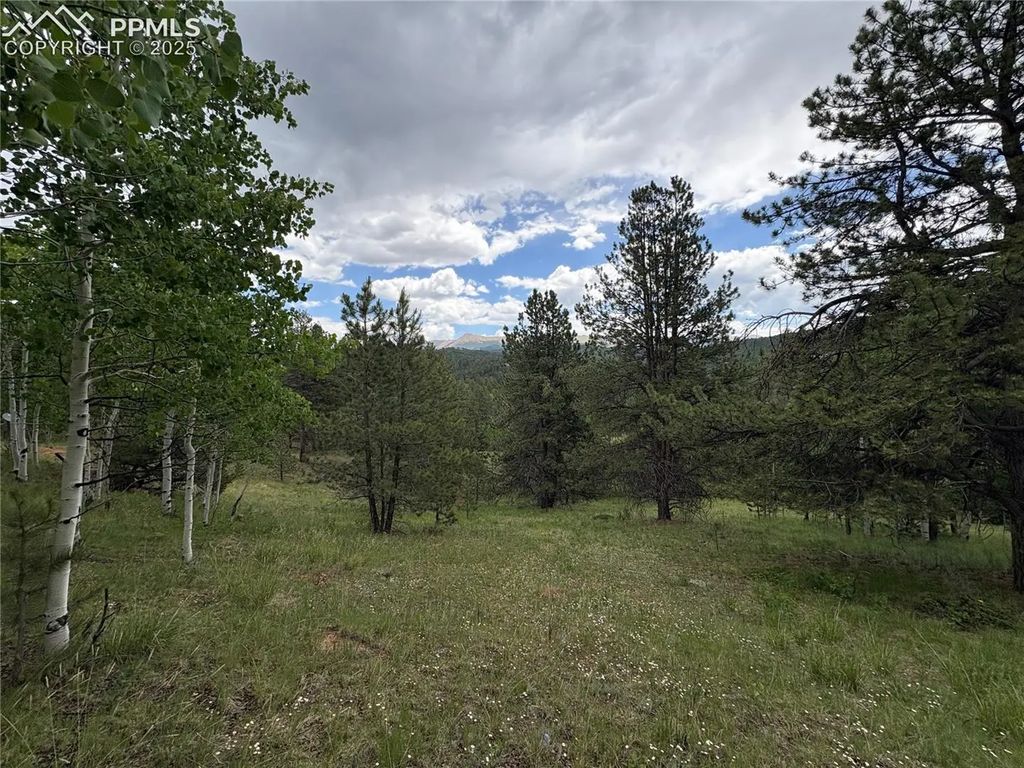 532 May Queen Drive, Cripple Creek