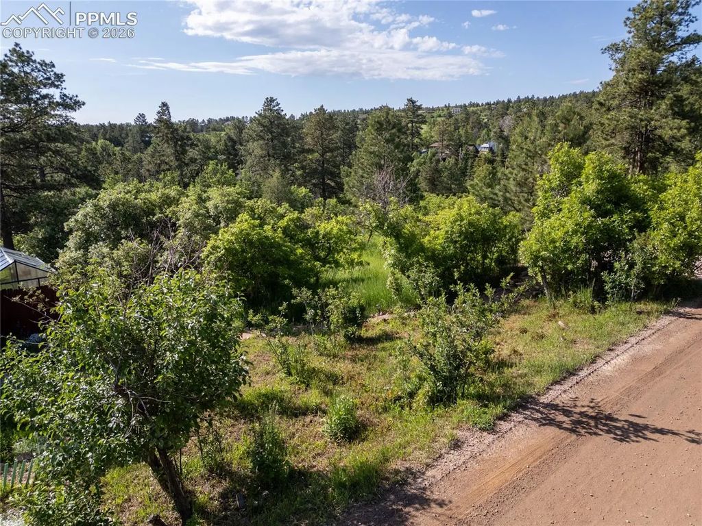 Buena Vista Avenue, Palmer Lake