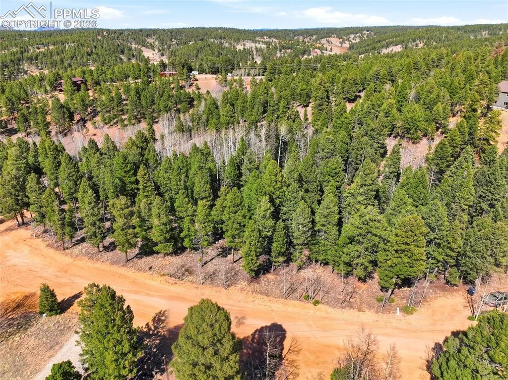 278 Cherry Lake Drive, Divide