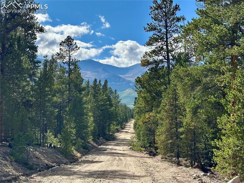 143 Fir Drive, Leadville
