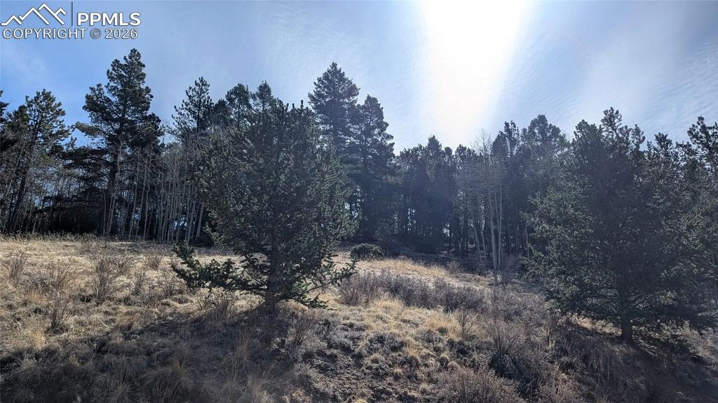 136 Valley Road, Divide