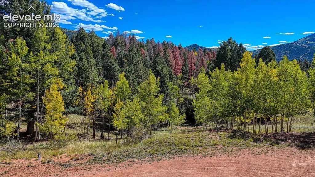 136 Gold Crown Circle, Cripple Creek