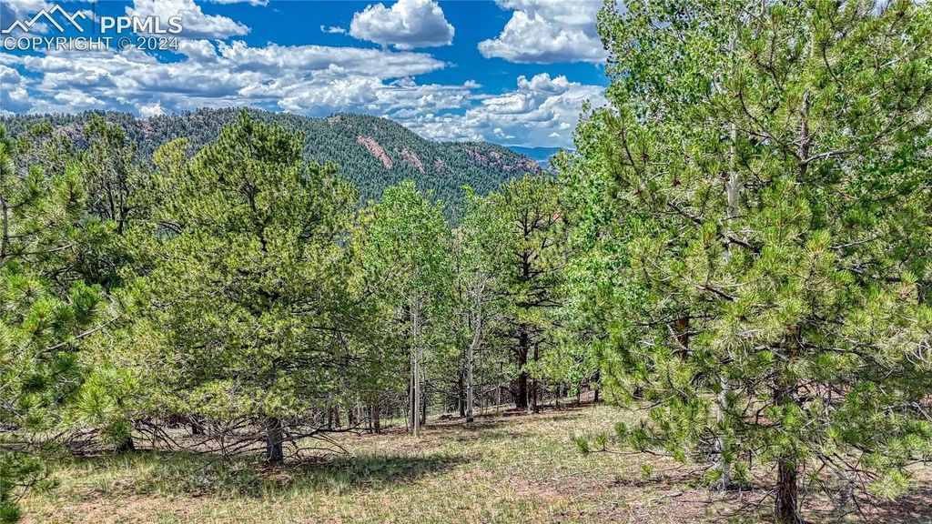 24 Wild Horse Circle, Cripple Creek