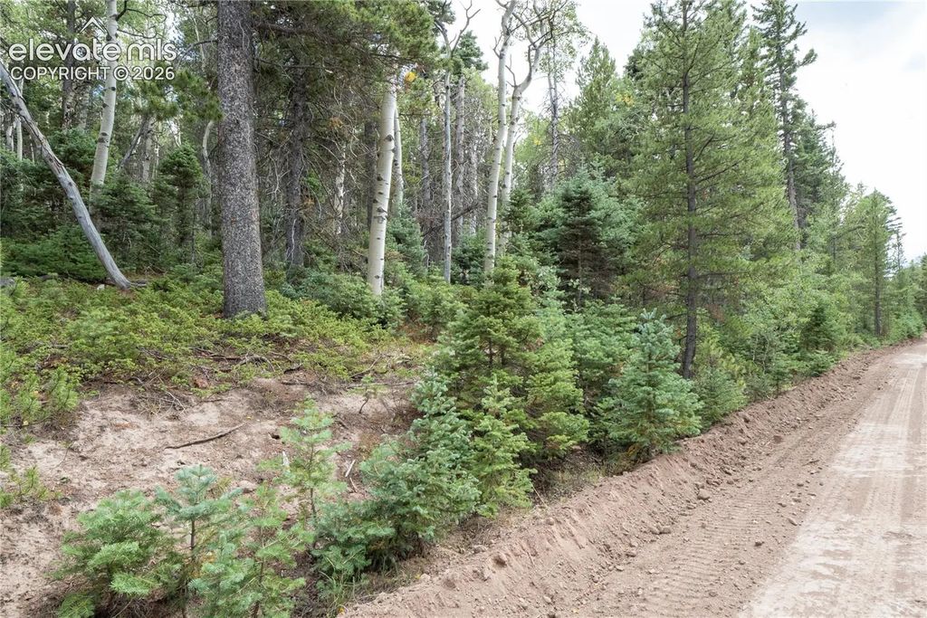 Lot 2660 Speciale Place, Fort Garland