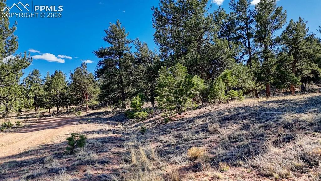 Lot 5124 Arikara Trail, Hartsel