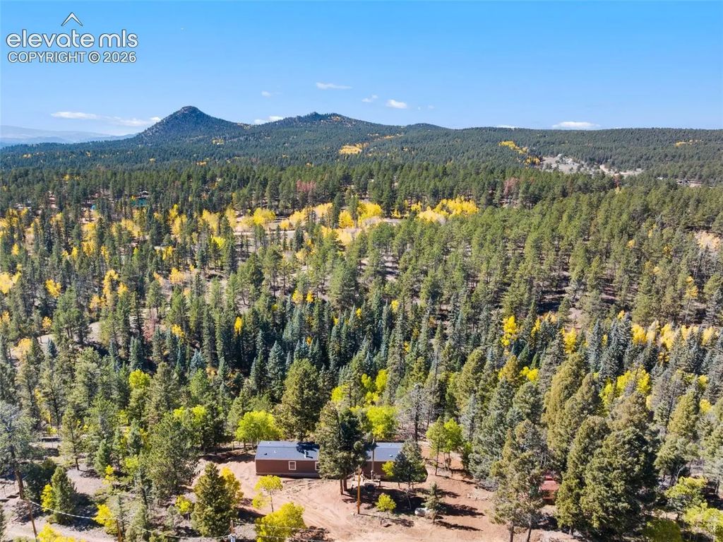 695 Elk Creek Drive, Divide