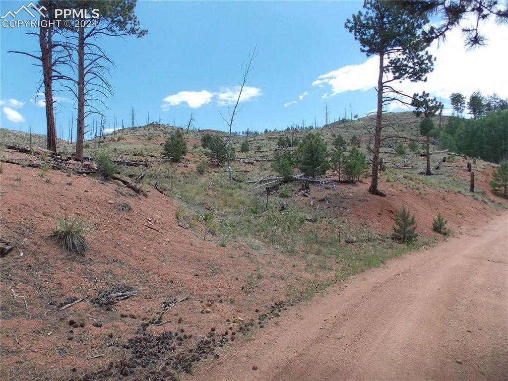 14691 Crooked Trail Road, Woodland Park