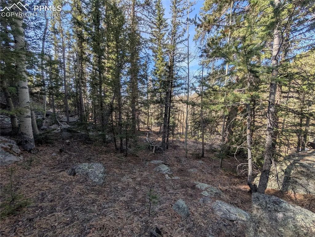386 Brook Drive, Lake George